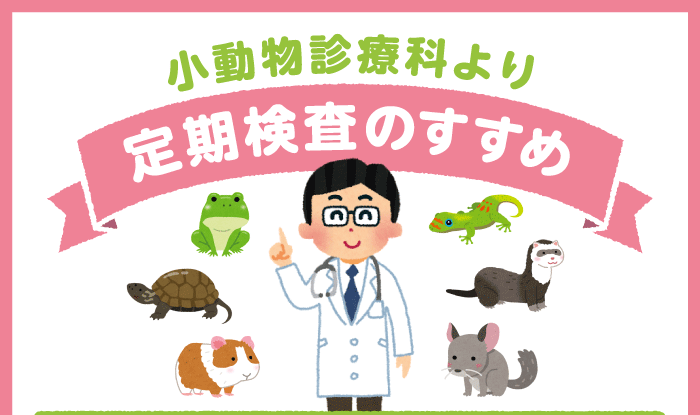 小動物診療科より 定期検査のすすめ