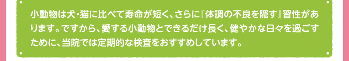 小動物は犬・猫に比べて寿命が短く、さらに『体調の不良を隠す』習性があります。ですから、愛する小動物とできるだけ長く、健やかな日々を過ごすために、当院では定期的な検査をおすすめしています。