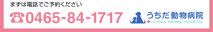 まずは電話でご予約ください　 0465-84-1717