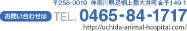 住所：〒258-0019　神奈川県足柄上郡大井町金子149-1　電話：0465-84-1717