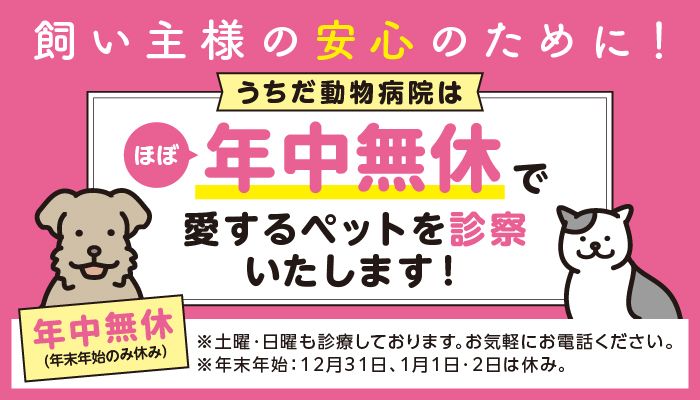 うちだ動物病院はほぼ年中無休で愛するペットを診察いたします！12月
        31日・1月1・2日は休診です