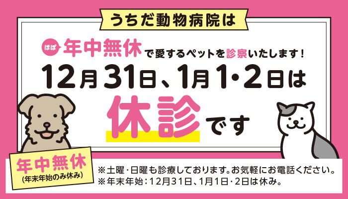 うちだ動物病院はほぼ年中無休で愛するペットを診察いたします！12月
        31日・1月1・2日は休診です