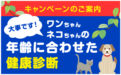 愛する子たちとずっと一緒にいるために♡　とっても重要！　ワンちゃん・ネコちゃんの年齢に合わせた健康診断