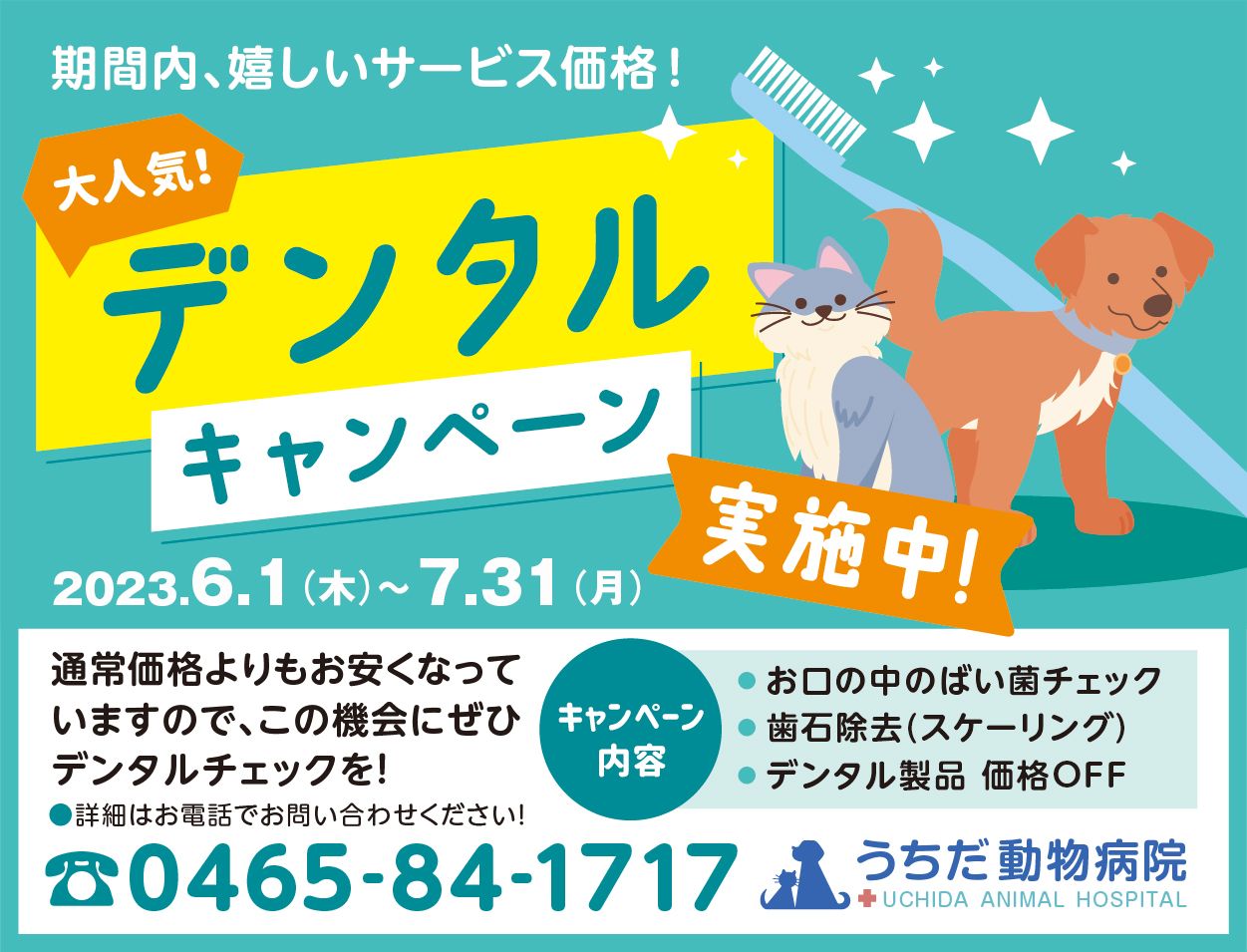 大人気！デンタルキャンペーン実施中！♡