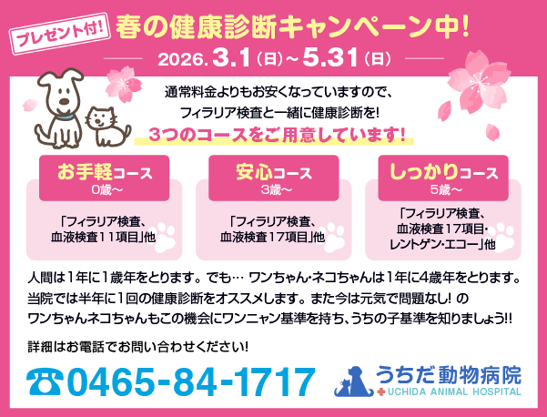 春の健康診断キャンペーン中！