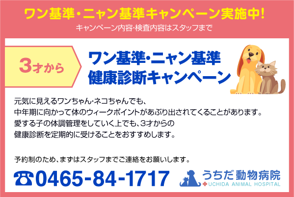 ワン基準・ニャン基準キャンペーン実施中！3才から　ワン基準・ニャン基準健康診断キャンペーン