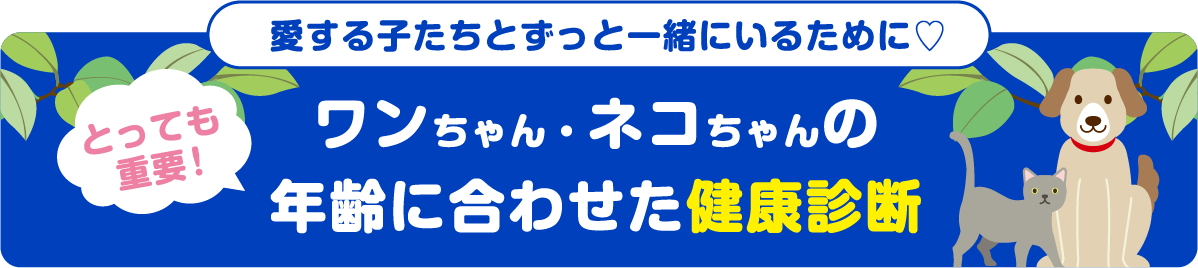 愛する子たちとずっと一緒にいるために♡　とっても
                    重要！　ワンちゃん・ネコちゃんの年齢に合わせた健康診断