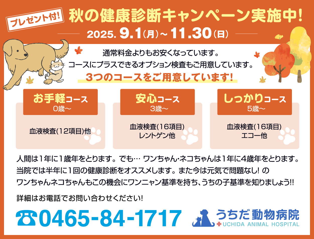 秋の健康診断キャンペーン実施中