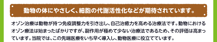 動物の体にやさしく、細胞の代謝活性化などが期待されています。