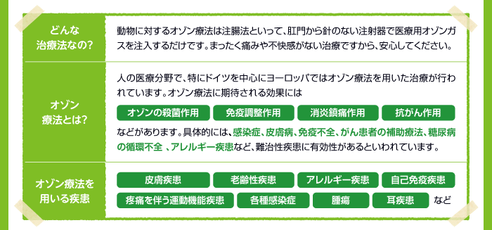 オゾン療法とは？