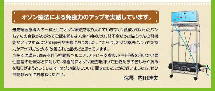 オゾン療法による免疫力のアップを実感しています。